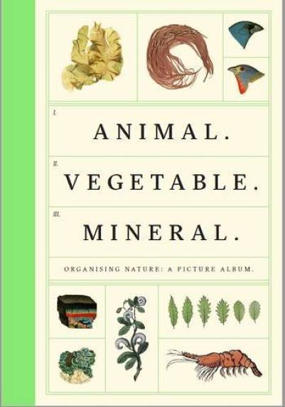 Animal. Vegetable. Mineral.