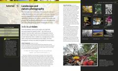 Digital Photography Masterclass