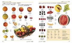 Arabic English Bilingual Visual Dictionary