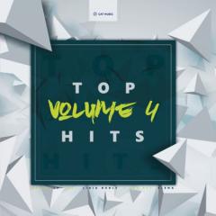 Top Hits - Vol. 4