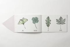 Tatouage: Blossom: 102 Temporary Tattoos of Flowers & Plants and 21 Art-print Keepsakes 