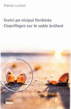 Scoici pe nisipul fierbinte. Coquillages sur le sable brulant