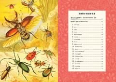 The Little Book of Insects