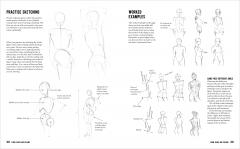 Anatomy for the Artist