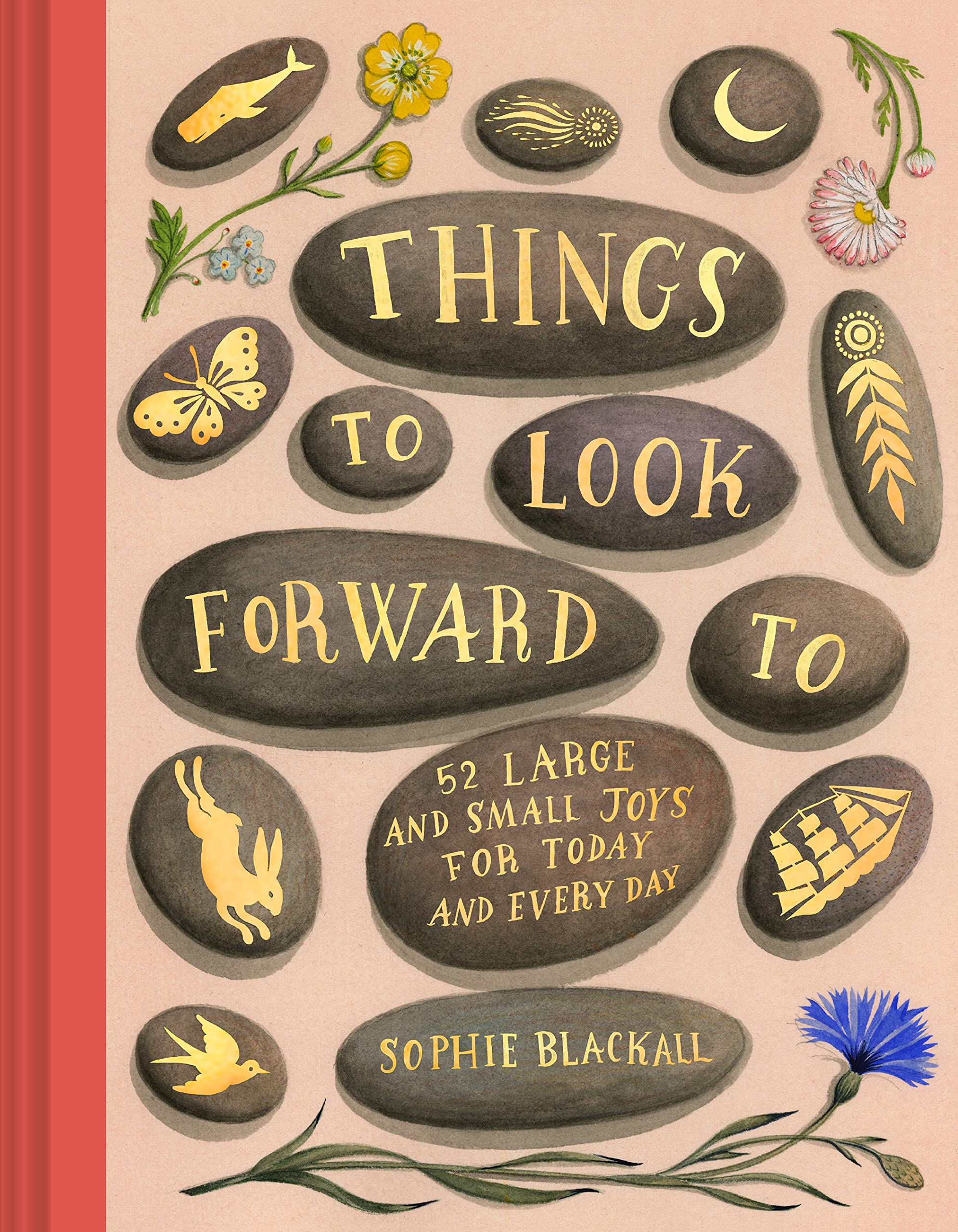 Things To Look Forward To - Sophie Blackall