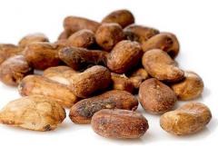 Boabe de cacao bio - Nutrisslim