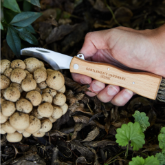 Cutit pentru ciuperci - Foraging Knife