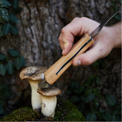 Cutit pentru ciuperci - Foraging Knife