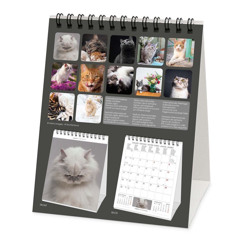 Calendar De Birou 2023 Cats 12x145 Cm Legami 9312