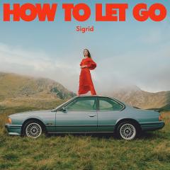 How To Let Go - Vinyl