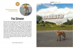 Interesting Chernobyl