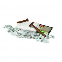 Set - Tiranozaurul Rex