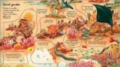 Look Inside a Coral Reef