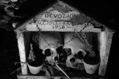 The Serpent Coiled in Naples