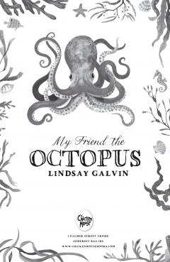 My Friend the Octopus