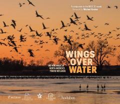 Coperta cărții Wings Over Water