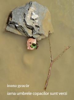 Iarna umbrele copacilor sunt verzi 