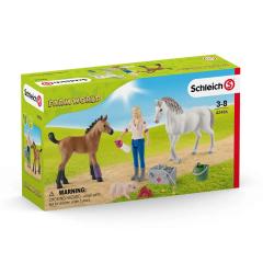 Set figurine - Vet visiting mare and foal