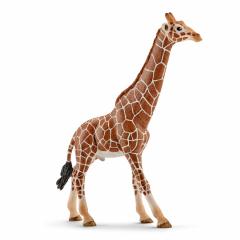 Figurina - Wild Life - Girafa, Mascul