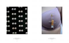 Sarah Lucas: Au Naturel