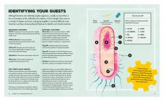 Meet Your Bacteria