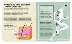 Meet Your Bacteria