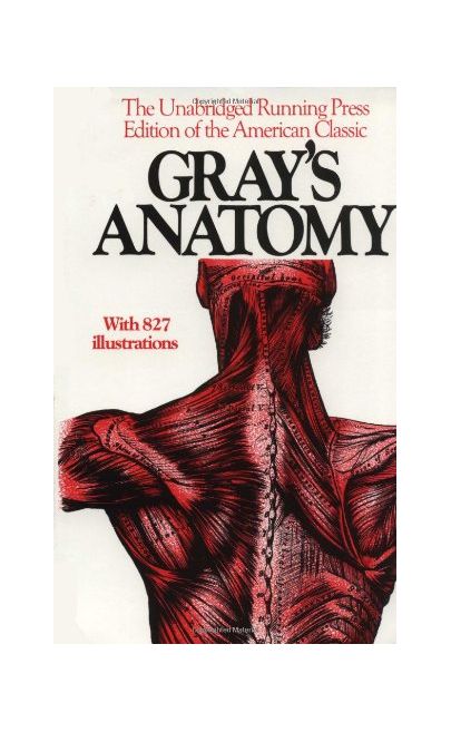 Gray&#039;s Anatomy