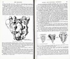 Gray's Anatomy