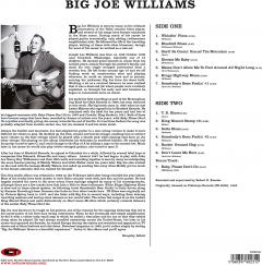 Big Joe Williams And His Nine String Guitar