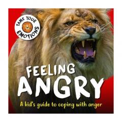 TAME YOUR EMOTIONS FEELING ANGRY