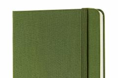 Carnet - Moleskine Two-Go Grass Green 