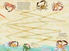 The Big Sticker Book of the Blue