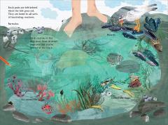 The Big Sticker Book of the Blue