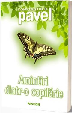 Amintiri dintr-o copilarie