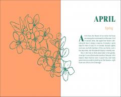 Month-by-Month Gardening Guide