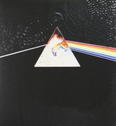 The Dark Side Of The Moon (Immersion)