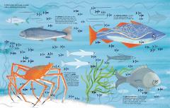 1001 Fish