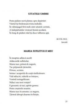 Raidul meu in eternitate