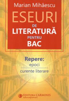 Eseuri de literatura pentru bac