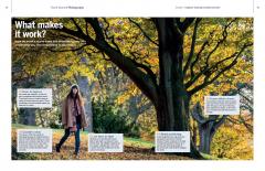 Teach Yourself Photography