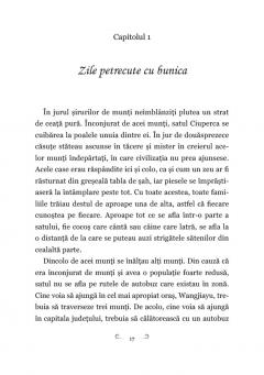 Un tort pentru bunica