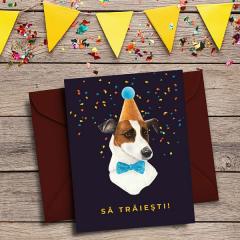 Felicitare - Party Animal
