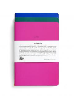 Set carnete - Pop Art Notebooks Set of 3