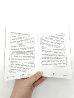 The Little Book of Mushrooms