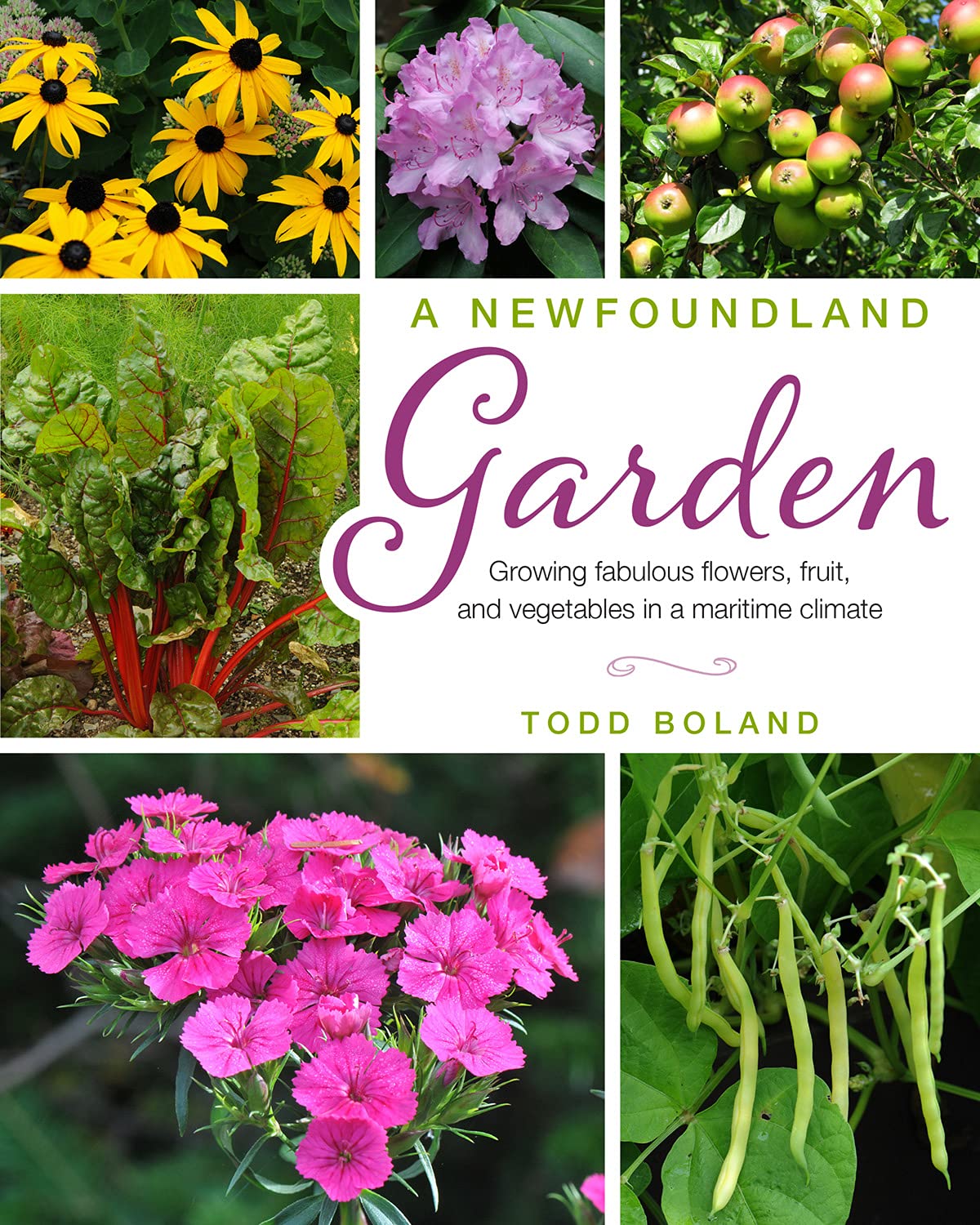 A Newfoundland Garden