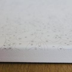 Set pictura pe numere - Dimineata cu lalele, 40x50 cm