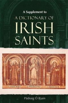 SUPPLEMENT TO A DICTIONARY OF IRISH SAIN