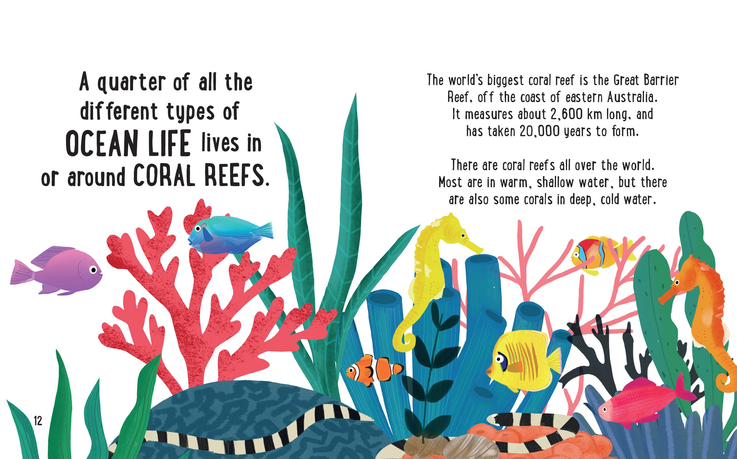 The small and mighty book of oceans tracey turner