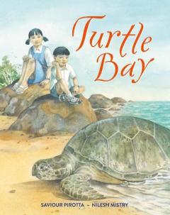 Coperta cărții Turtle Bay
