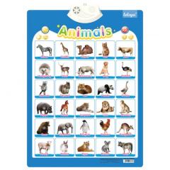 Poster interactiv in limba engleza - Animale